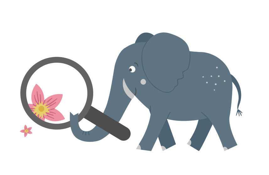 Riesci a trovare l’elefante in questa illusione ottica? 