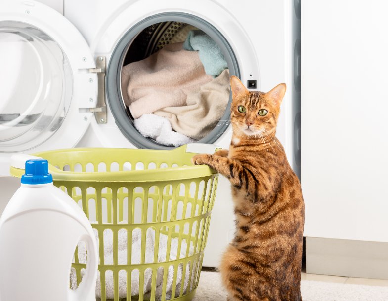 Eliminare peli di cane e gatto in lavatrice
