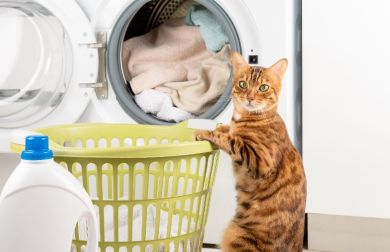 Eliminare peli di cane e gatto in lavatrice