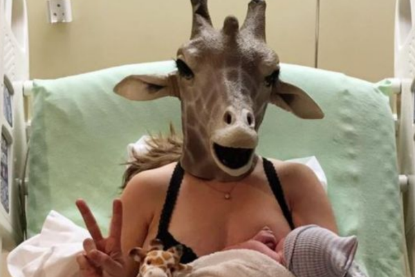 mamma giraffa