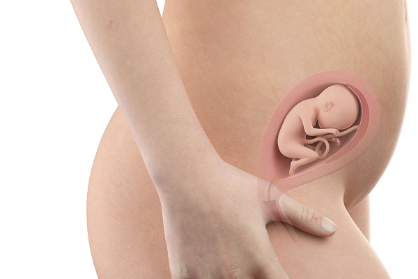 la misurazione del fondo uterino
