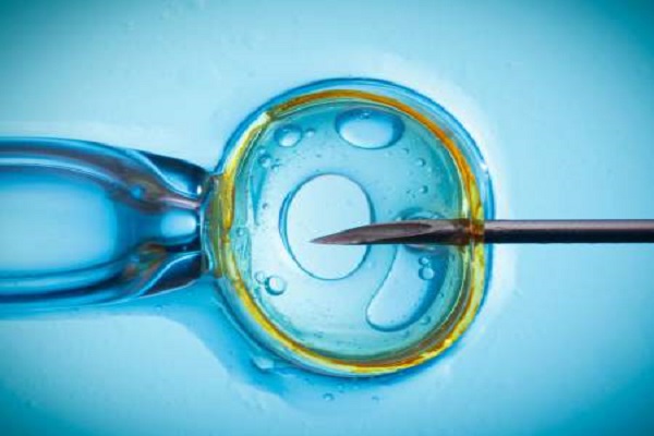 Embrioni congelati: cos'è la crioconservazione
