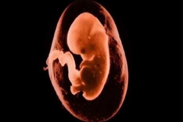 Embrioni congelati: cos'è la crioconservazione