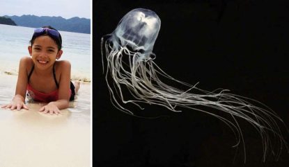 punta da una pericolosissima medusa
