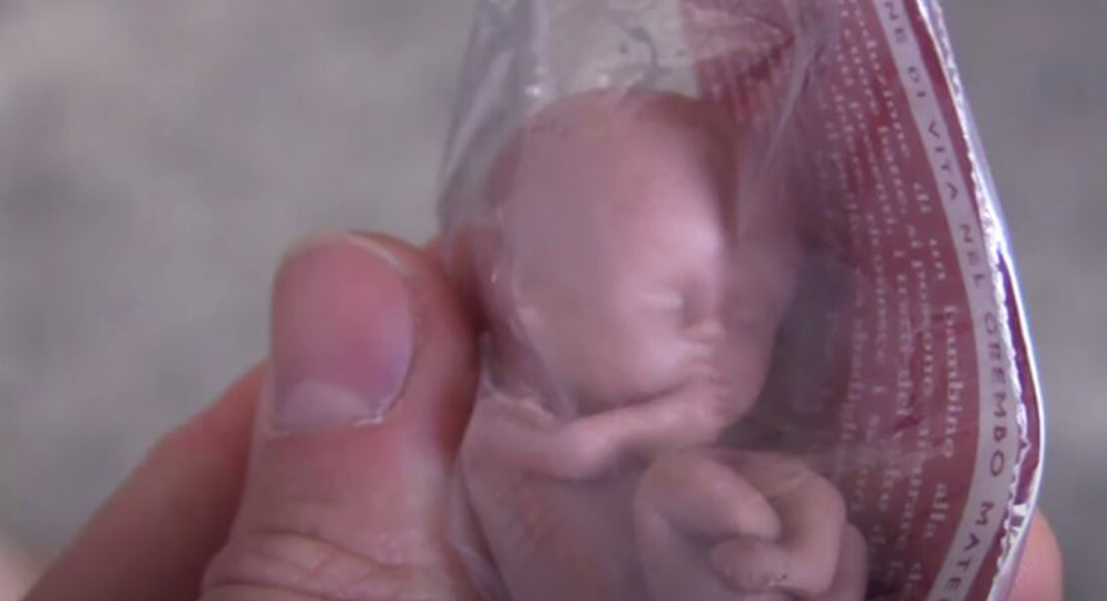 feto di plastica gadget Verona Congresso della Famiglia