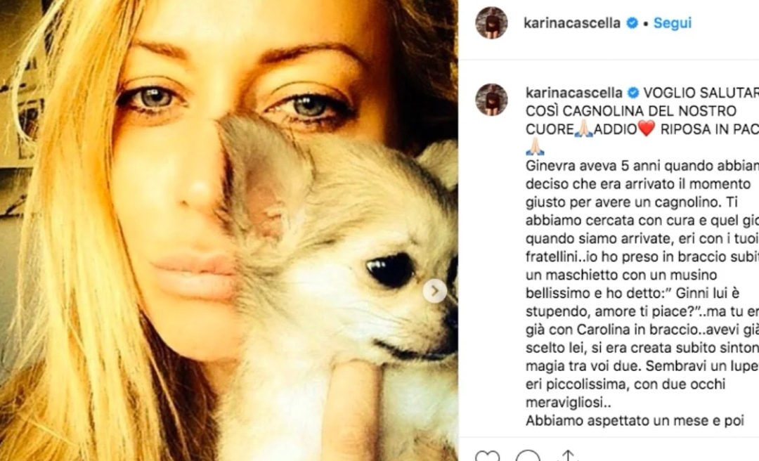 il cane di Karina Cascella è morto