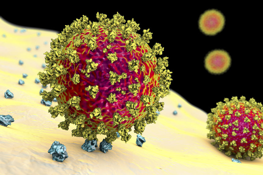 Coronavirus e vasculite