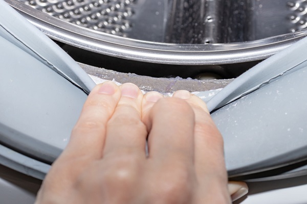 Bucato in lavatrice: lavare a 60° aumenta i batteri 