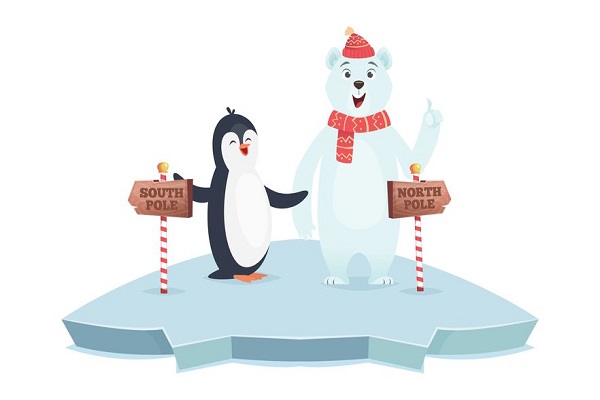 Orsi polari e pinguini: trova l’errore in questa immagine