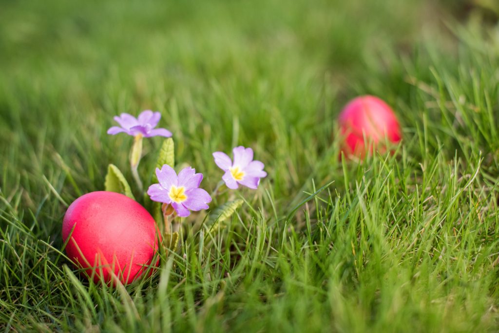 Come organizzare una caccia alle uova di Pasqua